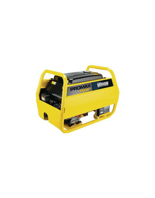 Briggs & Stratton Promax 7500EA Aggregaat