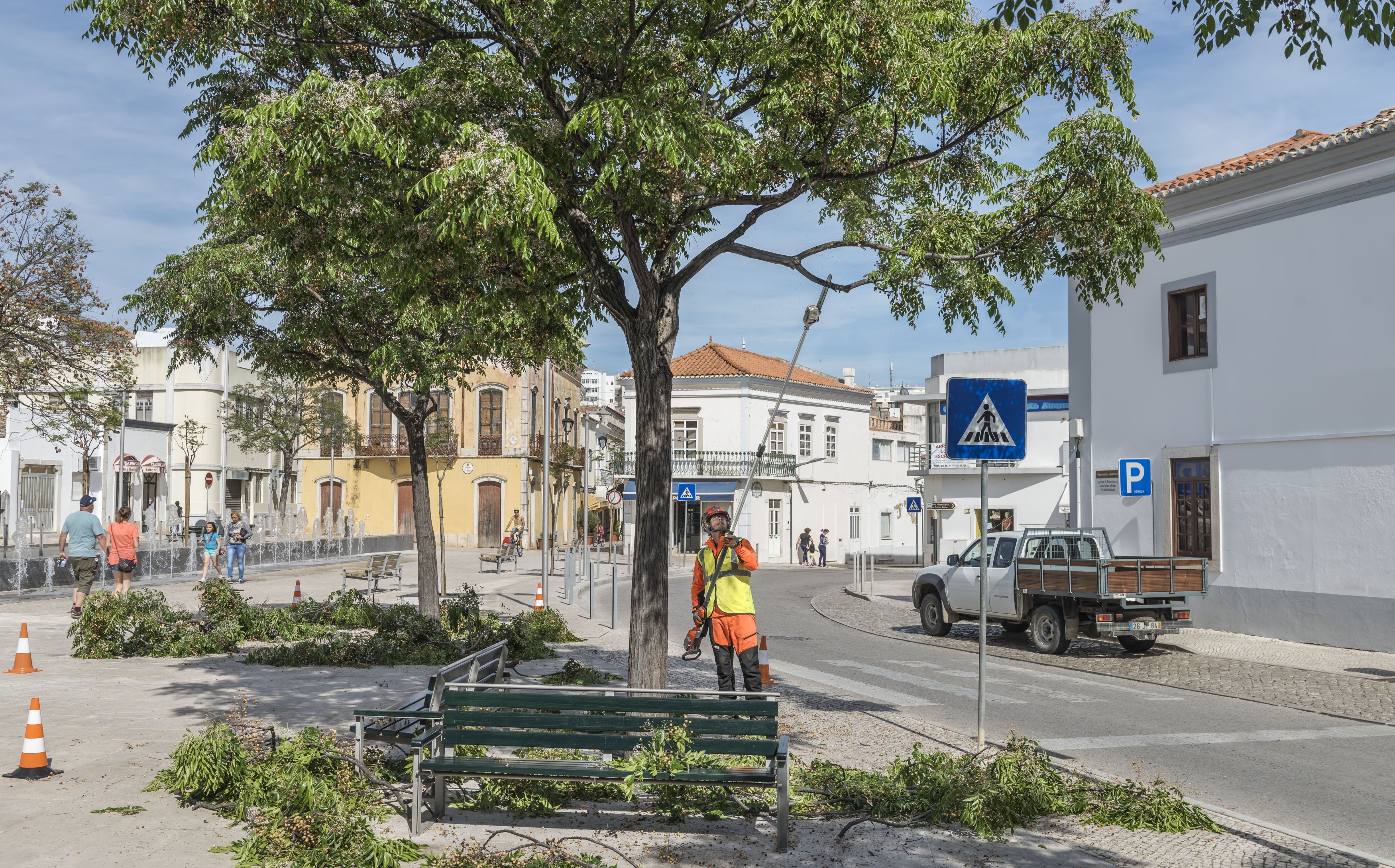 Husqvarna Accu Stokzaag 530iPT5 - Uitschuifbaar tot 4 meter