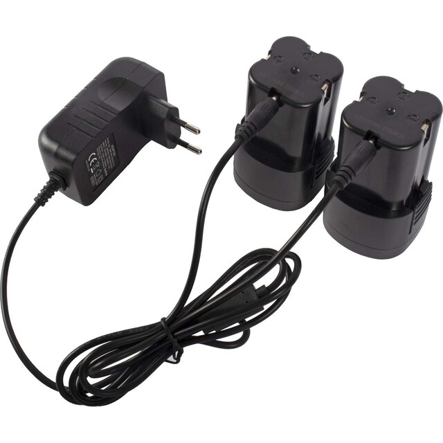 Snoeischaar professioneel elektrisch