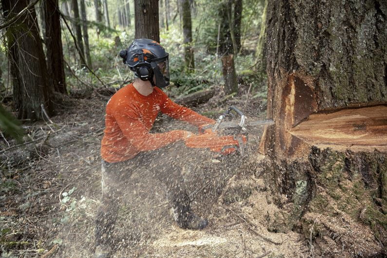 Husqvarna 585 XP Kettingzaag 60/70 cm 3/8 4.8pk