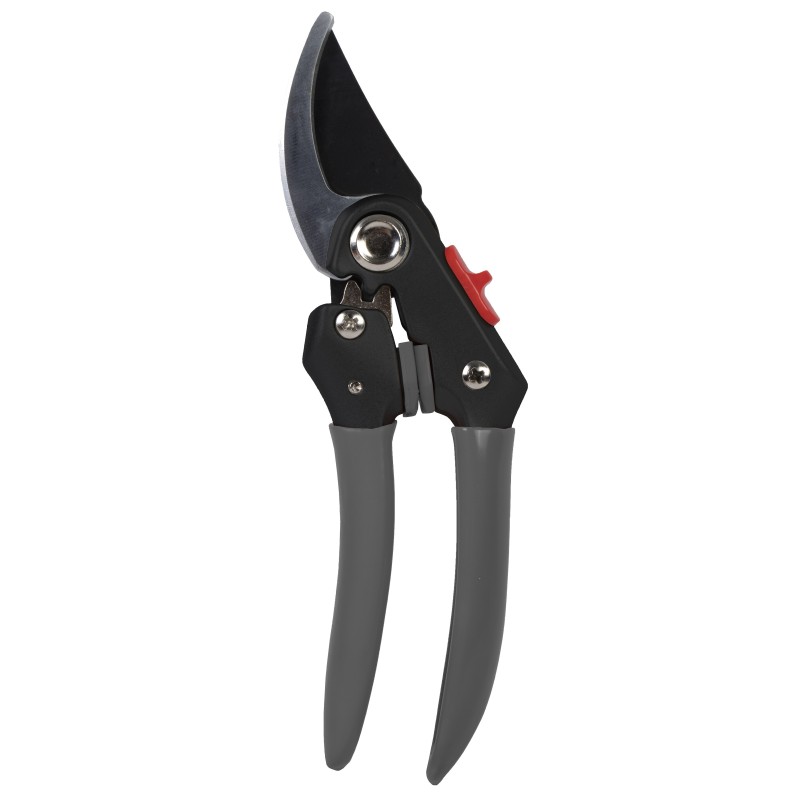 TalenTools – Snoeischaar – Premium - Voo