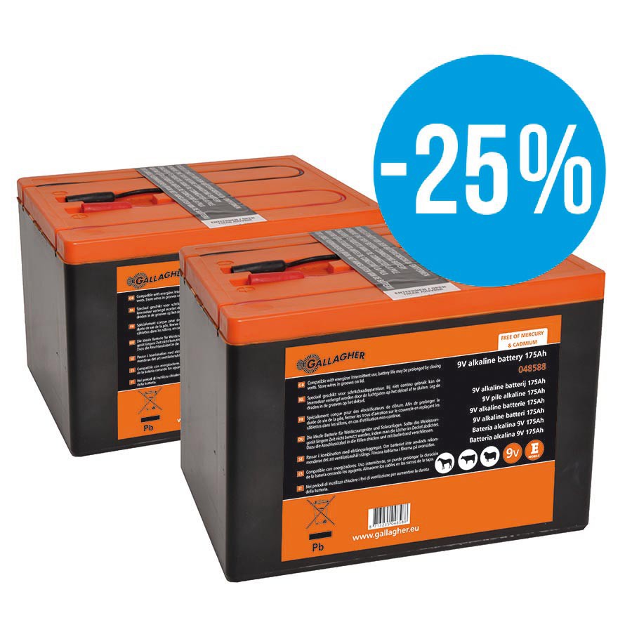 Duopack Alkaline batterij 2x 9V/175Ah -