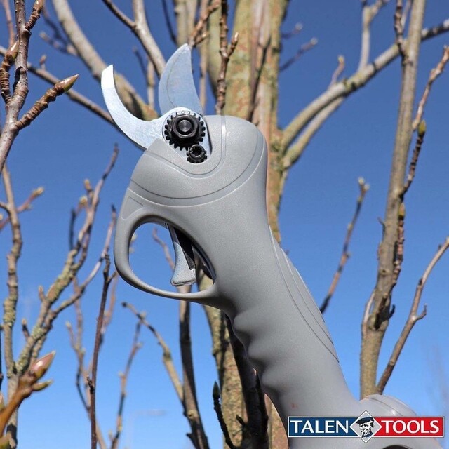 Snoeischaar professioneel elektrisch