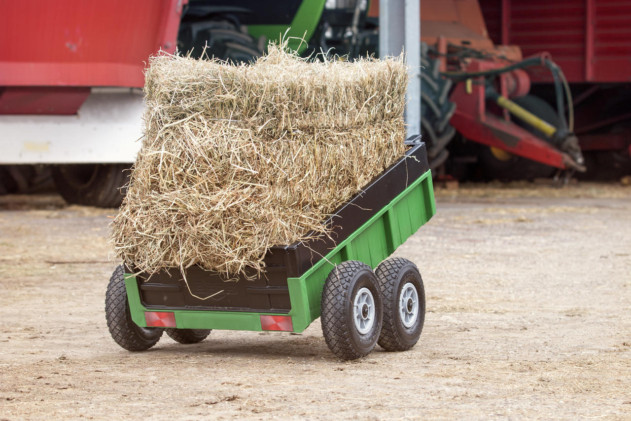 BERG Tandem Trailer XL