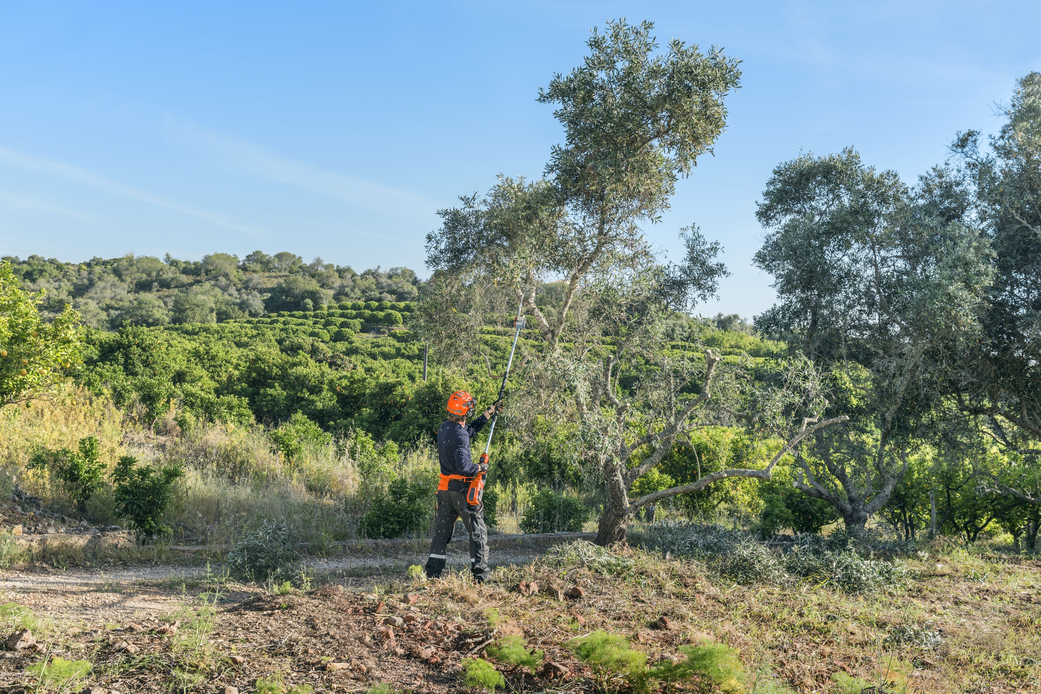 Husqvarna Accu stokzaag 530iP4 -3 meter