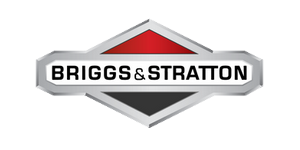 Briggs&Straton