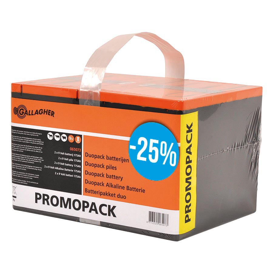 Duopack Alkaline batterij 2x 9V/175Ah -