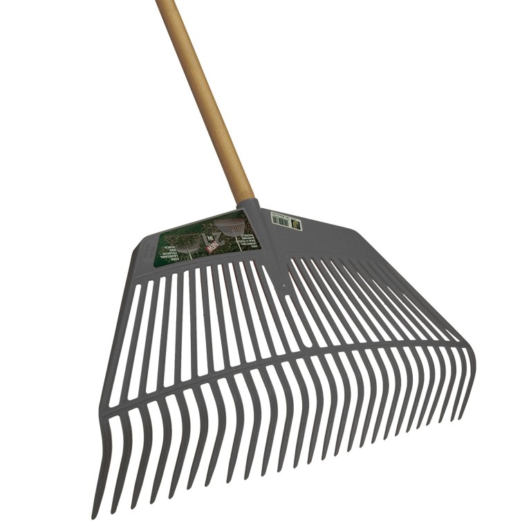 Bladhark - Essenhout 160cm