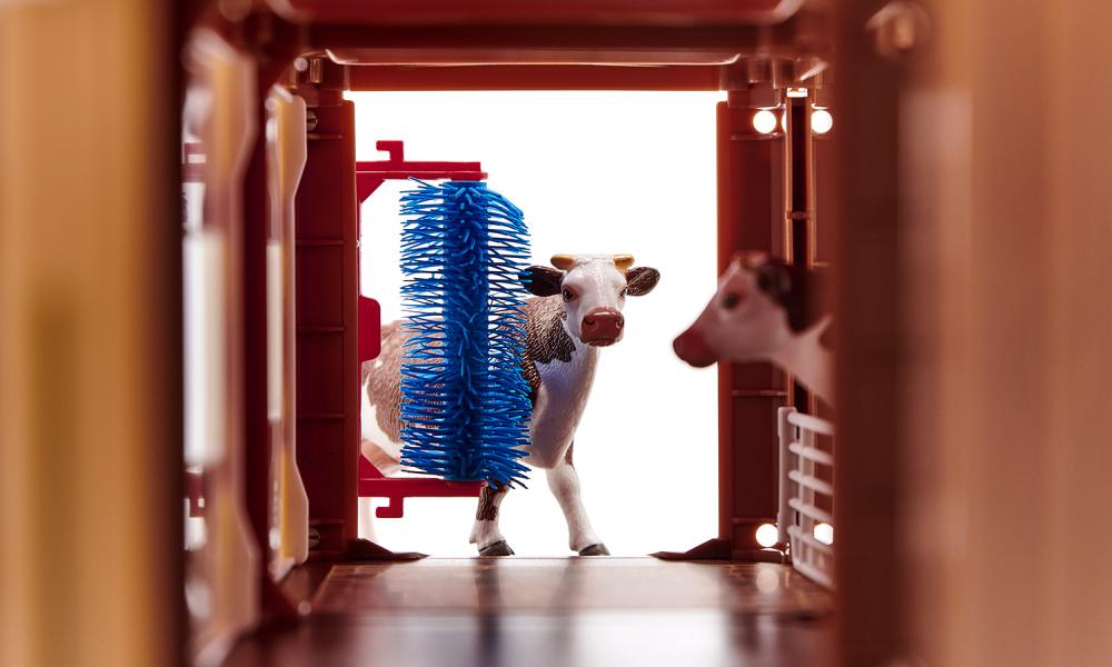 Boerderij