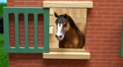 Paardenstal 1:24
