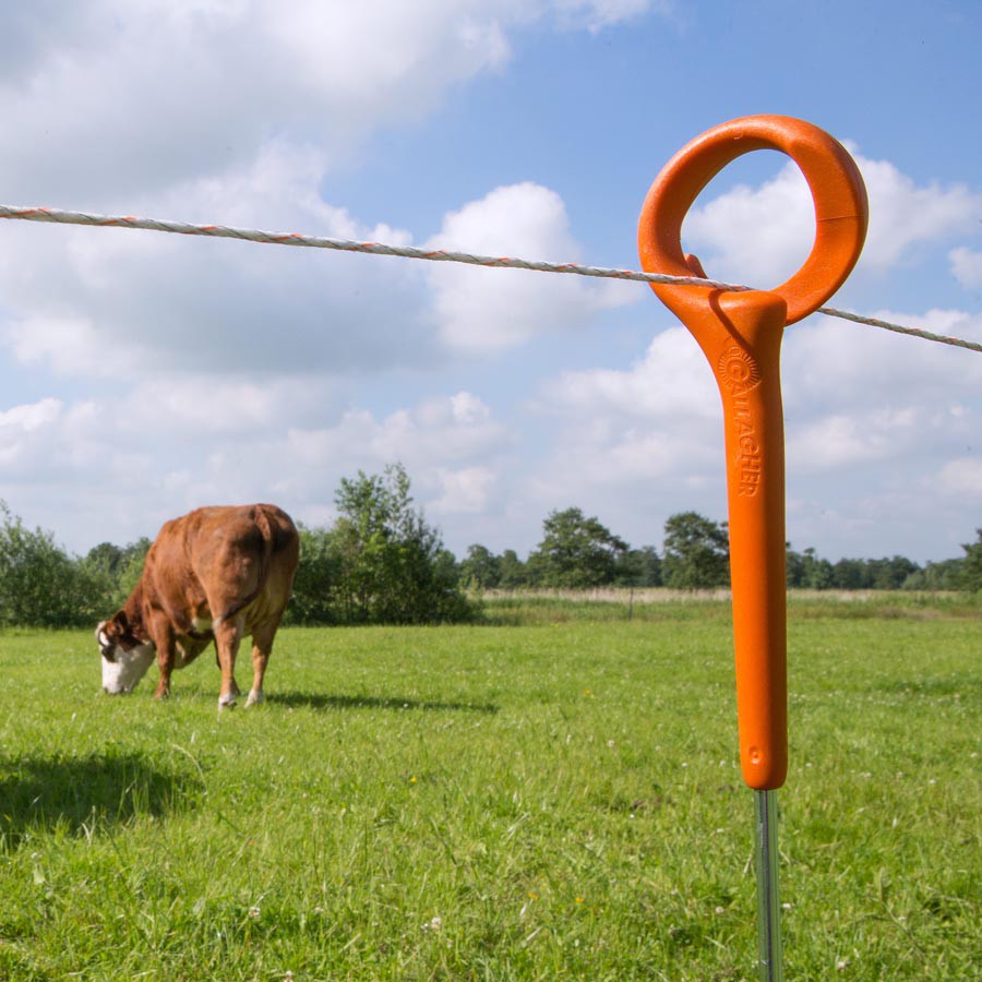 Ring top paal  1,00m (10)